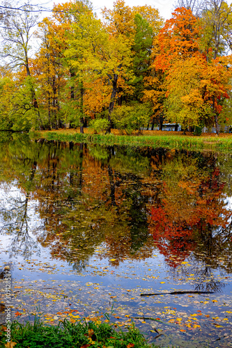 in the autumn Park trees with colorful foliage are reflected in the water