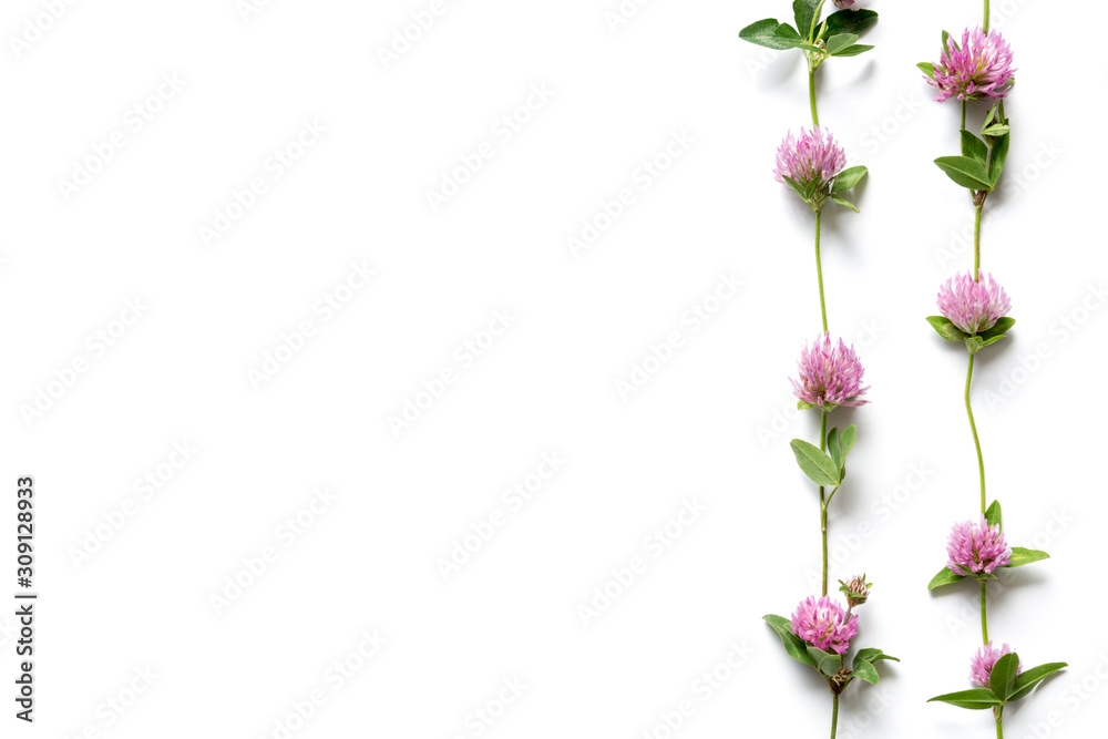 Obraz premium Spring Composition Made Of Pink Clover