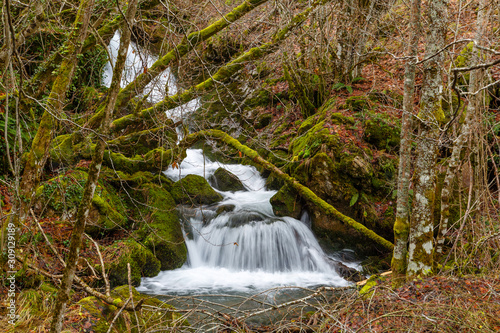 Riachuelo con pequeña cascada. Arroyo Valdecuevas, Hayedo de Cabornera de Gordón, León, España. photo