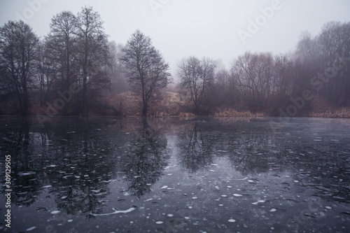 frozen misty lake and trees