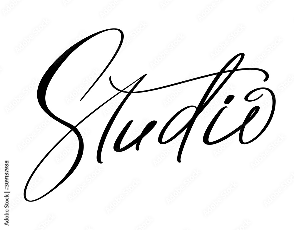 Studio calligraphy hand drawn vector logo text and label for any use, on a white background. Just place your own brand name Studio calligraphy hand drawn vector logo text and label for any use, on a white background. Just place your own brand name