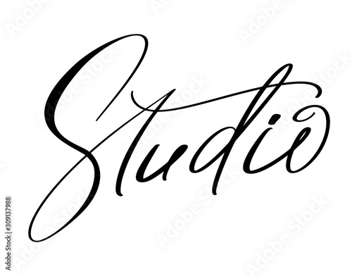 Studio calligraphy hand drawn vector logo text and label for any use, on a white background. Just place your own brand name