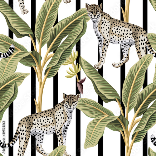 Tropical vintage banana trees and leopard floral seamless pattern black and white striped background. Exotic jungle wallpaper.