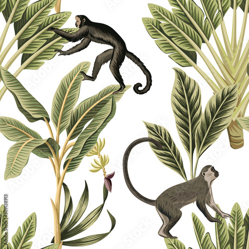 Canvas Print Tropical vintage monkey, palm trees floral seamless pattern white background