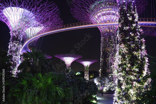 Supertrees at Gardens by the Bay © Mergim