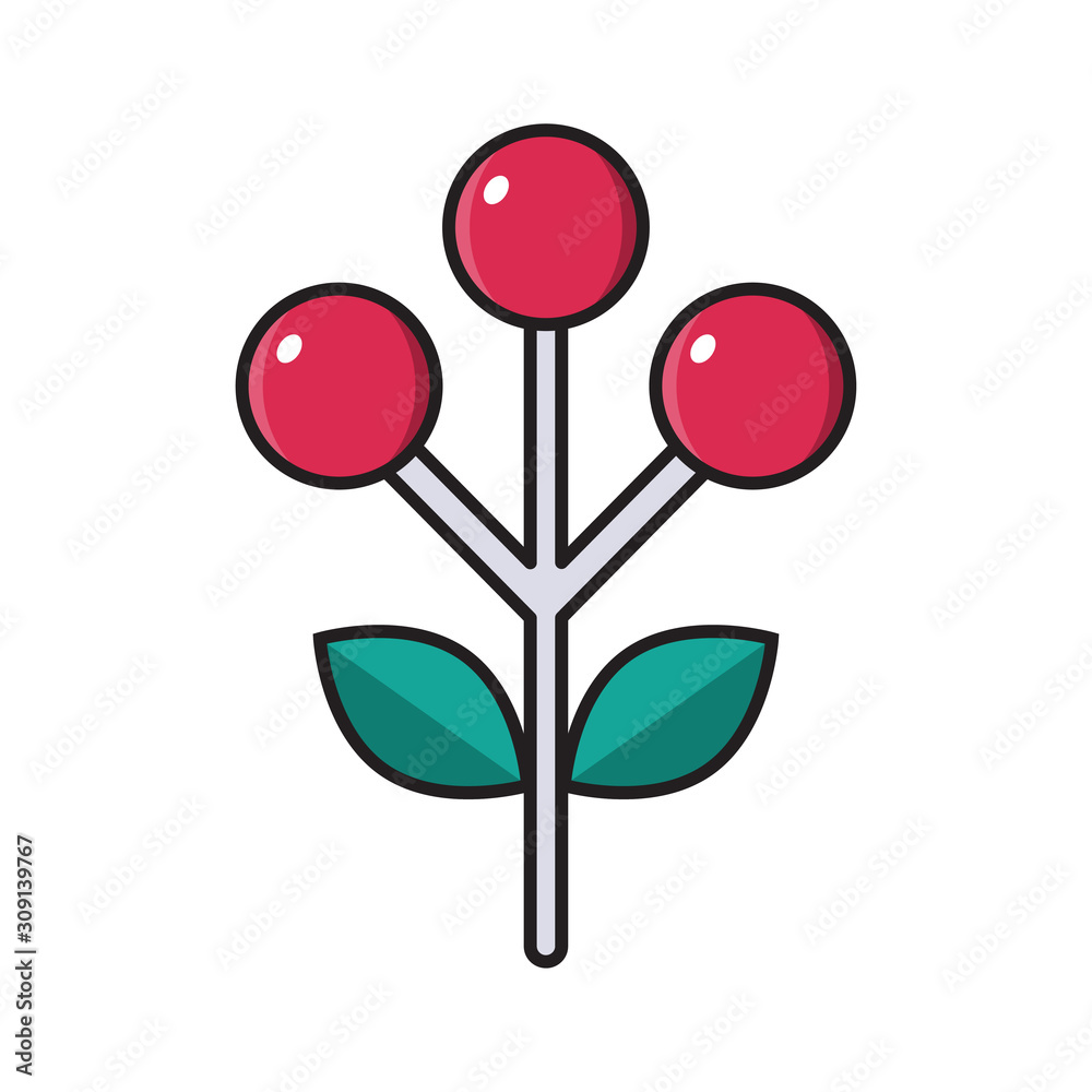 fruit fruit