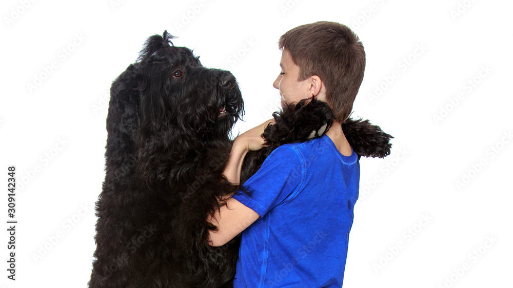 The owner and his dog are playing The owner and his dog are playing