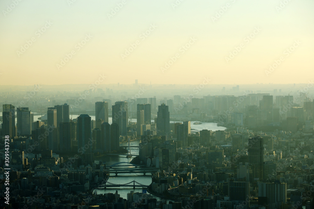 Beautiful city landscape of Tokyo city in the sunrise and ดaint fog, cover the wind.