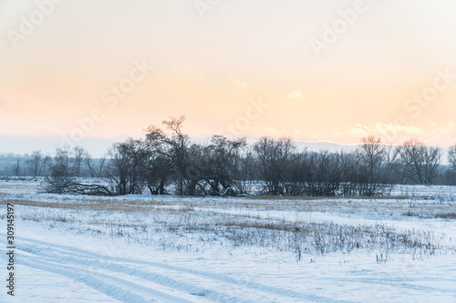 winter landscape of fields and bushes in the setting sun