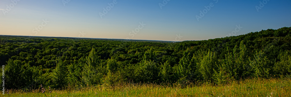 deciduous forest in the hilly area in the evening. Landscape in the countryside.