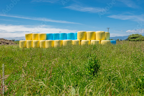 Hay Bales wrapped in colourful polythene plastic look like marsh mellows