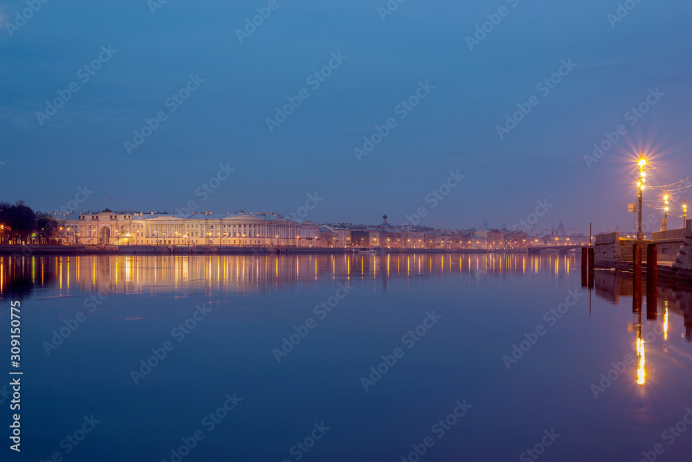panorama of the Neva river with the promenade des Anglais and the building of the Senate and Synod panorama of the Neva river with the promenade des Anglais and the building of the Senate and Synod
