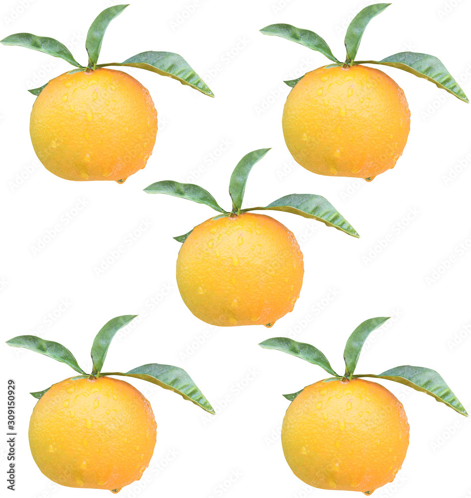 Cyprus citrus fruit isolated on white background Cyprus citrus fruit isolated on white background