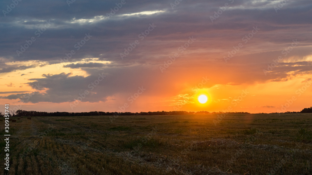 Obraz premium Beautiful Sunrise over the field.Summer evening in Blagoveshenskaya. Anapa, Russia.