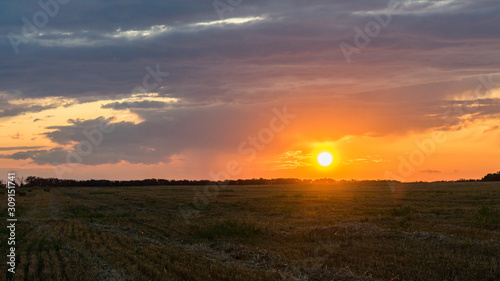 Beautiful Sunrise over the field.Summer evening in Blagoveshenskaya. Anapa  Russia.