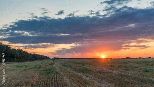 Beautiful Sunrise over the field.Summer evening in Blagoveshenskaya. Anapa, Russia. © Viacheslav