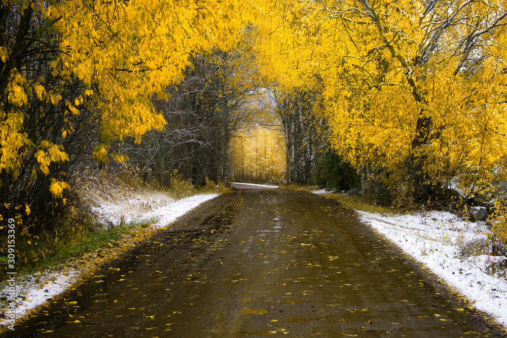 Obraz premium An autumn dirt road with snowy sides in Finland 