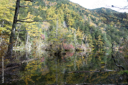 Landscape of Kamikochi trail  Japan alps   Japanese mountain 