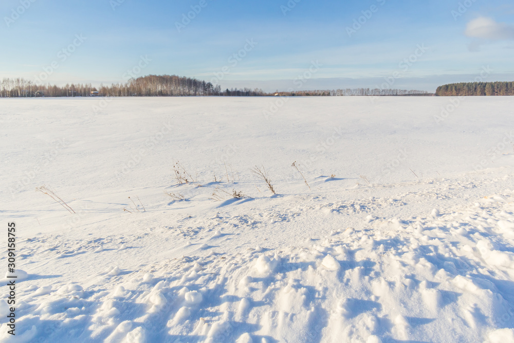 Snow covered field with forest on the horizon