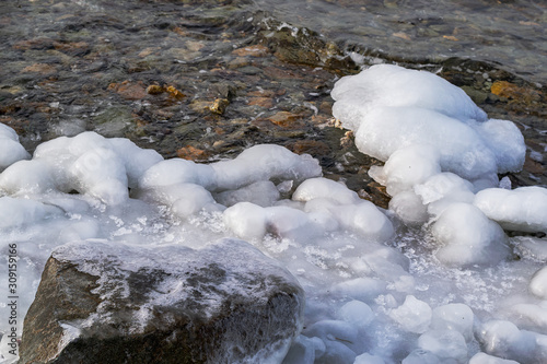 frozen rocks and starfish on the shore of the cold sea
