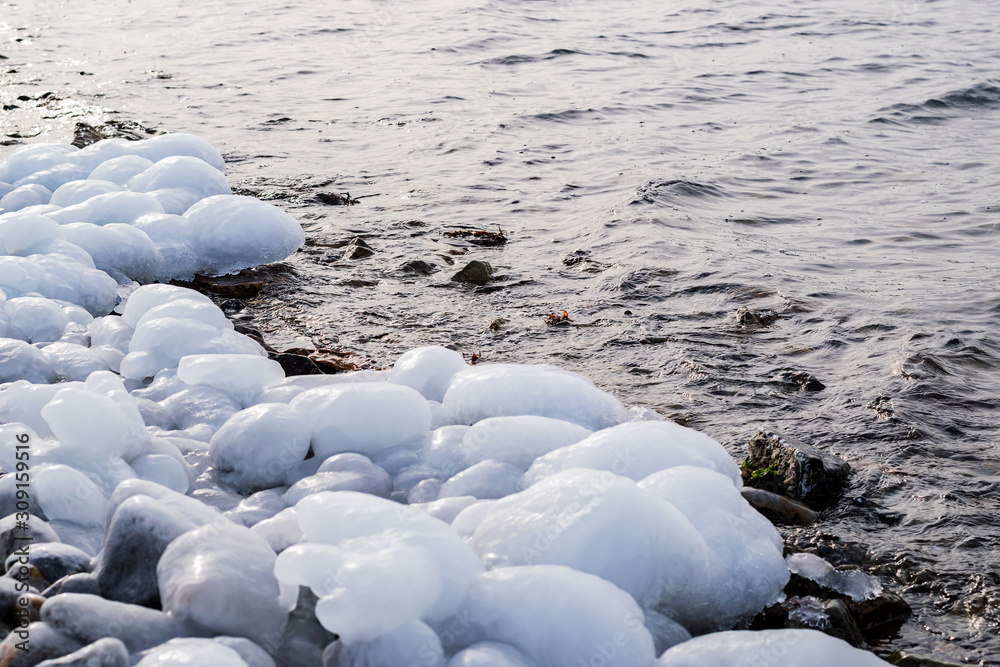 frozen rocks and starfish on the shore of the cold sea frozen rocks and starfish on the shore of the cold sea