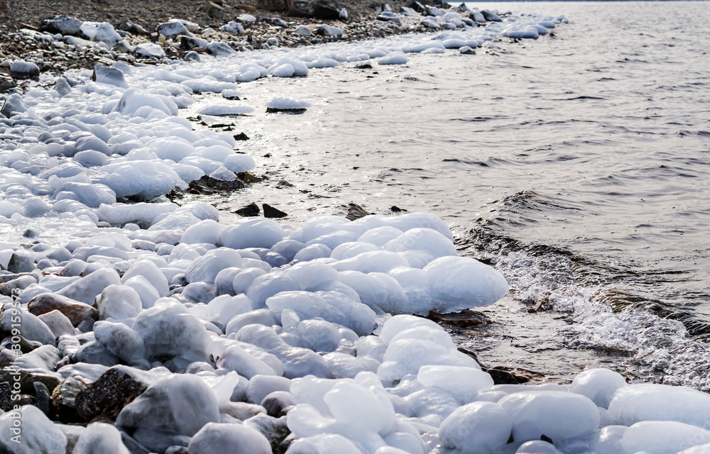 frozen rocks and starfish on the shore of the cold sea frozen rocks and starfish on the shore of the cold sea