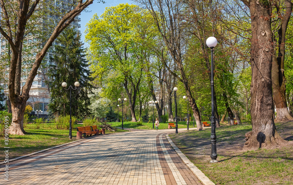 Alley in Mariinsky park in the center of Kyv, Ukraine
