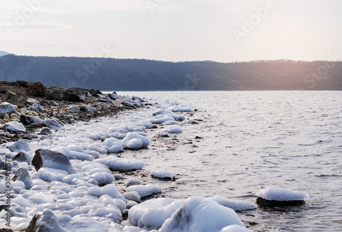 frozen rocks and starfish on the shore of the cold sea