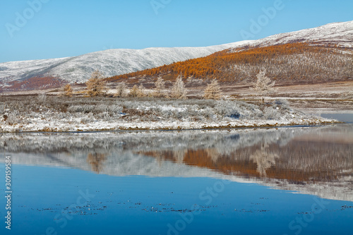 Snowy hill with yellow larch trees with its reflection in mountain lake