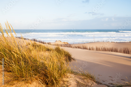 Sand dunes and ocean at sunny morning, Pensacola, Florida.