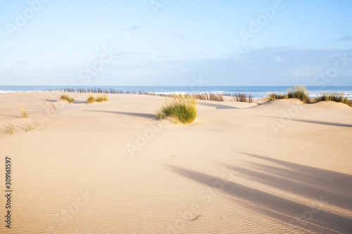 Sand dunes and ocean at sunny morning  Pensacola  Florida.
