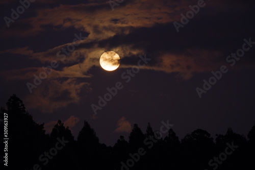 上昇する満月 © komta