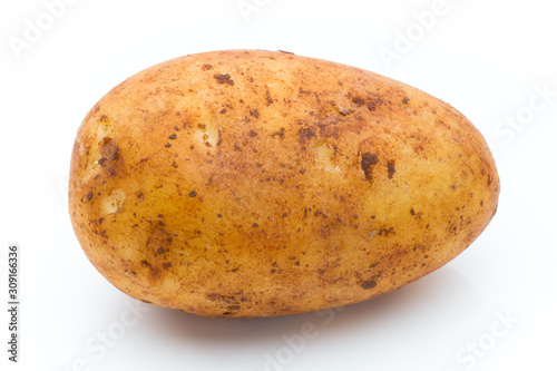 A bio russet potato isolated white background.