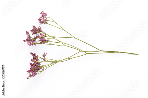 Dried flowers on white background. Flat lay, top view.