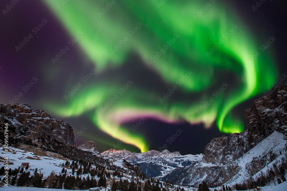 Aurora borealis northern lights on mountains forest night