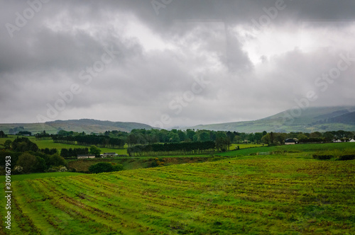 Green countryside of Ireland with trees and bright green grass growing under cloudy skies..