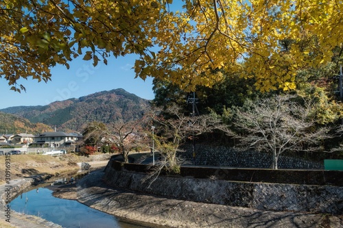 京都、宝ヶ池の高野川から比叡山が見える秋景色