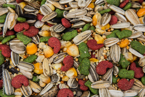 Fototapeta Naklejka Na Ścianę i Meble -  Sunflower seeds, grains and food Hamster.
