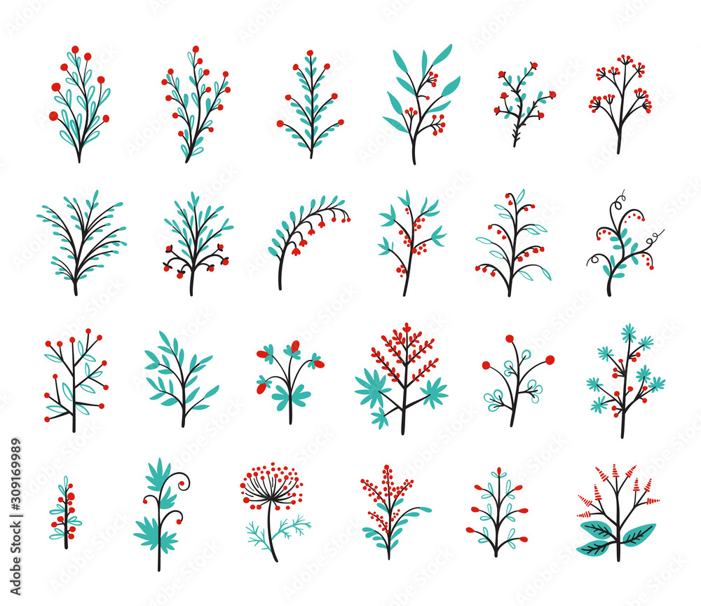 Fototapeta Floral Vector Set of Design Plant Elements. Doodle Branches with Leaves, Flowers and Berries