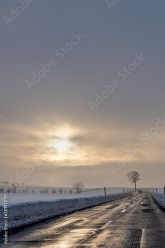 Straight road with trees without leafs on the side during a winter sunset in Germany © Kristian