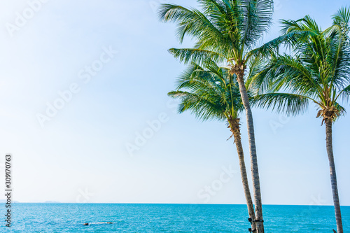 Fototapeta Naklejka Na Ścianę i Meble -  Luxury outdoor swimming pool in hotel resort with coconut palm tree