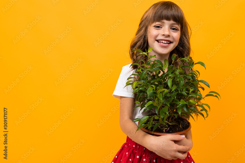smiling girl with flower in pot on orange isolated background smiling girl with flower in pot on orange isolated background