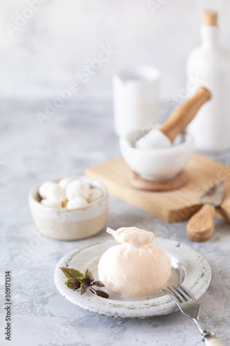 Italian cheeses burrata and mozzarella on a round white plate on a light background. Copy space.