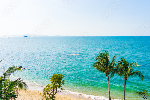 Beautiful coconut palm tree and leaf with sea ocean