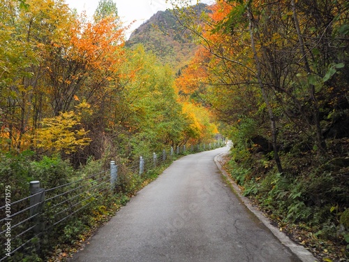 Road path among colorful forest in Songpinggou Scenic Area, Sichuan Province, China