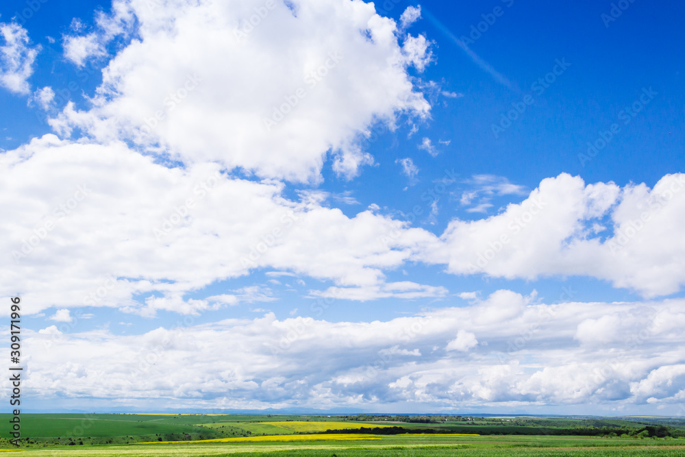 spring yellow field in the village and beautiful sky spring yellow field in the village and beautiful sky