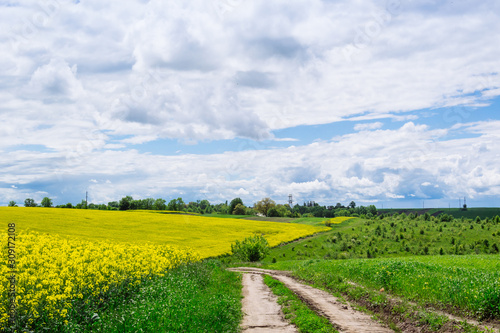 spring yellow field in the village and beautiful sky