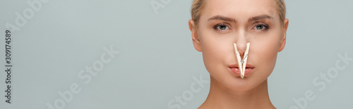 panoramic shot of attractive woman with wooden pin on nose isolated on grey