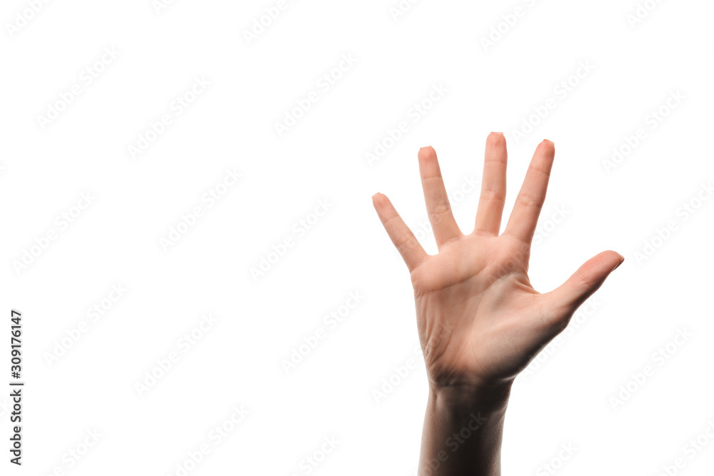 cropped view of woman showing five fingers isolated on white cropped view of woman showing five fingers isolated on white