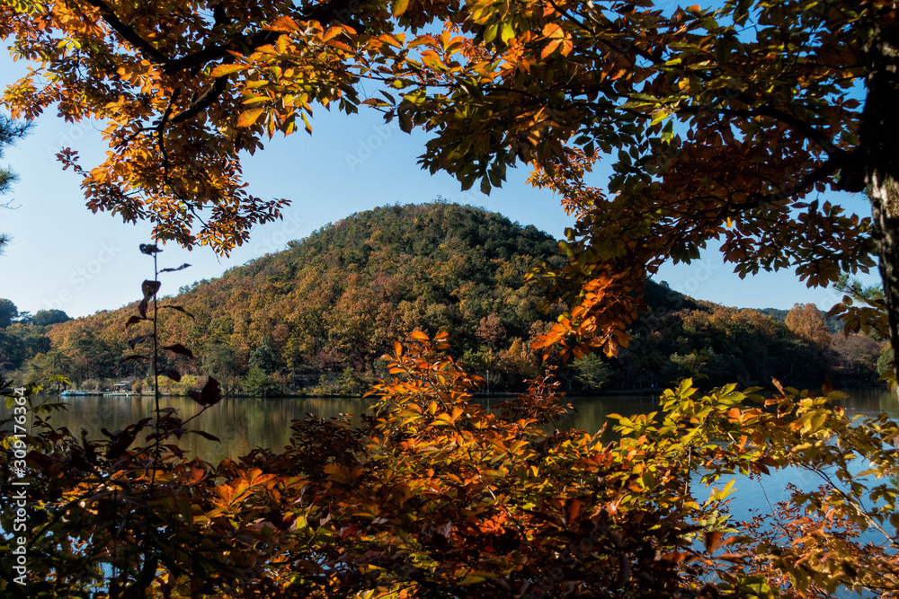 京都、宝ヶ池と山の秋景色